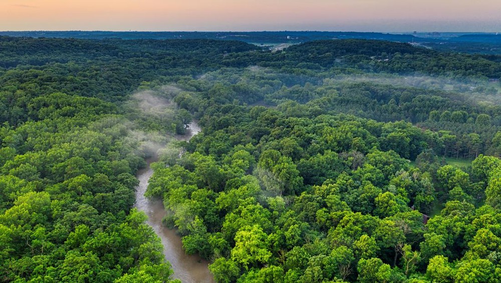 Crazy Rich Selamatkan 400 Ribu Ha Hutan Amazon!