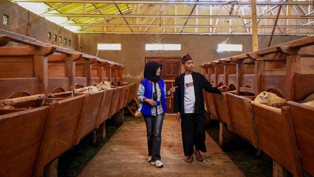 KUR BRI: Ratusan Ribu UMKM Terbang Tinggi!