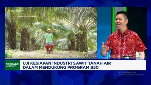 Sengketa Lahan Sawit: Nasib Petani Terancam?