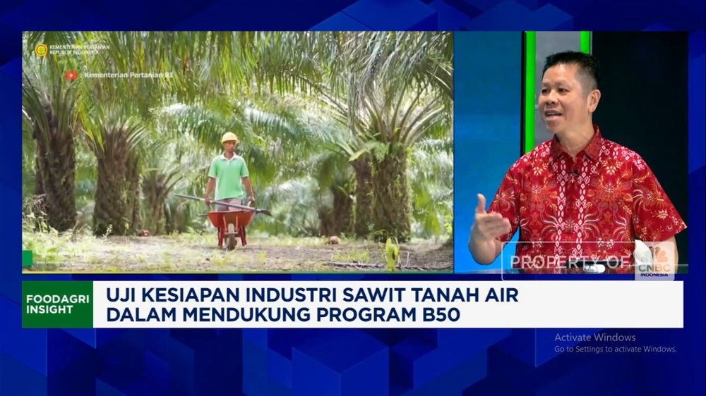 Sengketa Lahan Sawit: Nasib Petani Terancam?