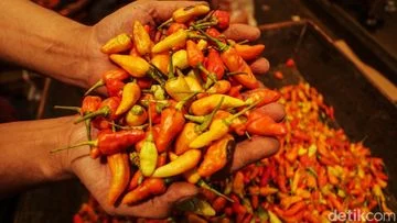 Kenaikan Tajam Harga Cabai Rawit: Tembus Rp 75 Ribu/Kg, Mengguncang Pasar!