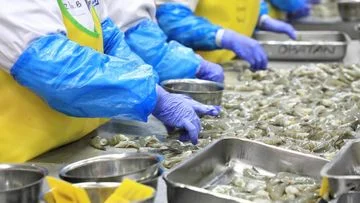 Gratis! KKP Pastikan Biaya Sertifikasi Mutu Perikanan Tanpa Beban
