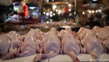 Harga Ayam di Pasar Turun Drastis: Kini Hanya Rp 35.000/Kg, Petani Gempar!