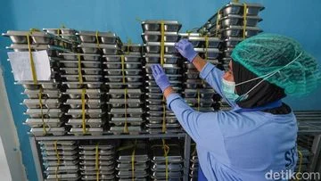 Menteri Keuangan Turunkan Anggaran MBG: Apa Dampaknya bagi Program Makan Bergizi Gratis?